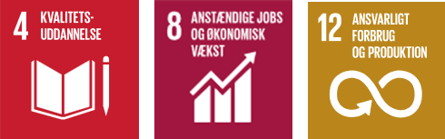 Vision - Feicons verdensmål